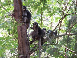 khao sam roi yot national park